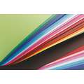 Clairefontaine Fotokarton, Sortiment mit 13 Farben, 120 g/m², 50 cm x 65 cm, 25 Bogen