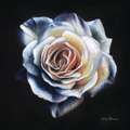 morepic-4