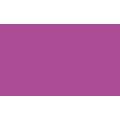 Pentel® Pointliner S40 Fineliner Colour Dye Ink , 0,4 mm, Fuchsia, 0,4 mm, Stifte einzeln