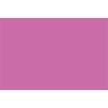 effect® Holzbilderrahmen ''Profil 2500'', 40 cm x 40 cm, Neonpink