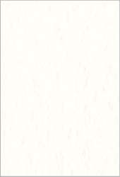 FABRIANO® Künstlerpapier Tiziano Pastellpapier, 50 cm x 65 cm, Bianco