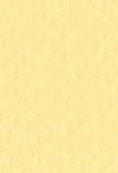 FABRIANO® Künstlerpapier Tiziano Pastellpapier, 50 cm x 65 cm, Limone