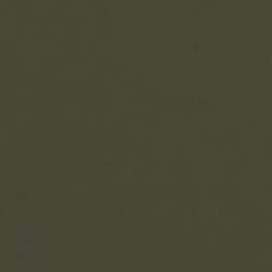 LANA Colours Künstlerpapier, 50 cm x 65 cm, Bogen, Efeu