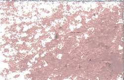 JAXON® Ölpastellkreiden, einzeln, Ölpastellkreide, Graurosa