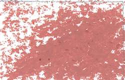 JAXON® Ölpastellkreiden, einzeln, Ölpastellkreide, Blassbraun