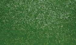 SENNELIER Ink Brush Pinselstift, Einzelstift, Irisierendes Hellgrün