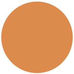 FABER-CASTELL PITT Artist Pen B Tuschemarker, einzeln, Brush, Terracotta