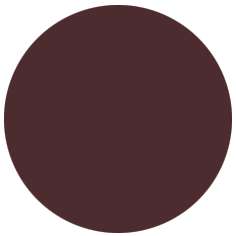 FABER-CASTELL PITT Artist Pen B Tuschemarker, einzeln, Brush, Walnussbraun