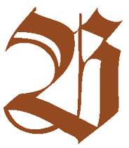 ROHRER & KLINGNER Antiktusche, 100-ml-Flasche, Astorialbraun