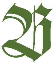 ROHRER & KLINGNER Antiktusche, 100-ml-Flasche, Cheopsgrün