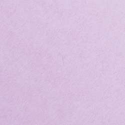 Clairefontaine Fotokarton Maya, 25er Packung, DIN A4, Flieder