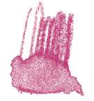 STAEDTLER® karat® Aquarell Aquarellstifte, einzeln, Farbstift, Rotlila