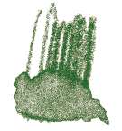 STAEDTLER® karat® Aquarell Aquarellstifte, einzeln, Farbstift, Grüne Erde