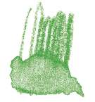 STAEDTLER® karat® Aquarell Aquarellstifte, einzeln, Farbstift, Lindgrün