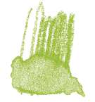 STAEDTLER® karat® Aquarell Aquarellstifte, einzeln, Farbstift, Gelbgrün