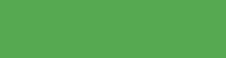 COPIC® INK Nachfülltinte, 12 ml, Emerald Green Nr G05