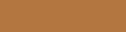 COPIC® INK Nachfülltinte, 12 ml, Caribe Cocoa Nr E25