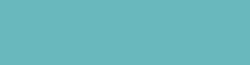COPIC® INK Nachfülltinte, 12 ml, Mint Green Nr BG13