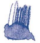 STAEDTLER® karat® Aquarell Aquarellstifte, einzeln, Farbstift, Kobaltblau