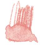 STAEDTLER® karat® Aquarell Aquarellstifte, einzeln, Farbstift, Rose