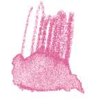 STAEDTLER® karat® Aquarell Aquarellstifte, einzeln, Farbstift, Magenta