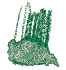 STAEDTLER® karat® Aquarell Aquarellstifte, einzeln, Farbstift, Grün