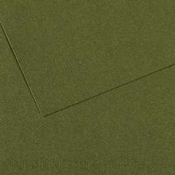 CANSON® Mi-Teintes® Farbiges Künstlerpapier, 50 cm x 65 cm, Dunkelgrün