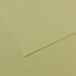 CANSON® Mi-Teintes® Farbiges Künstlerpapier, 50 cm x 65 cm, Hellgrün