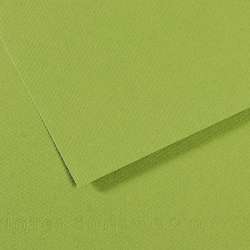 CANSON® Mi-Teintes® Farbiges Künstlerpapier, 50 cm x 65 cm, Grün