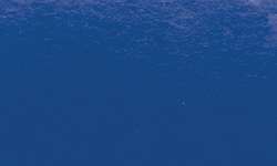 SENNELIER Ink Brush Pinselstift, Einzelstift, Kobaltblau Imitation