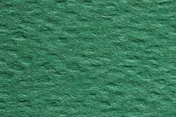 Clairefontaine ETIVAL COLOR® Zeichenpapier, Einzelbogen, DIN A4 - 25 Blatt, Dunkelgrün
