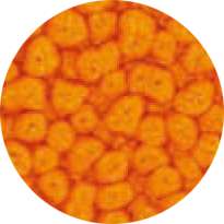 pébéo Fantasy Prisme, 45-ml, Butterblume