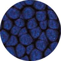 pébéo Fantasy Prisme, 45-ml, Nachtblau