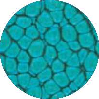 pébéo Fantasy Prisme, 45-ml, Türkis