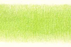 DERWENT Coloursoft Farbstift, einzeln, Farbstift, Light Green (C440)