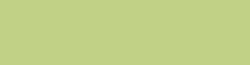 COPIC® INK Nachfülltinte, 12 ml, Yellowish Green Nr YG06