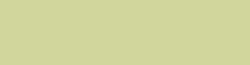 COPIC® INK Nachfülltinte, 12 ml, Fluo. Yellow Green Nr FYG