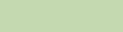 COPIC® INK Nachfülltinte, 12 ml, Lime Green Nr G21