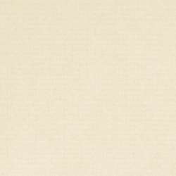 Hahnemühle Dürer Ingres-Bütten, Einzelbögen, 48 cm x 62,5 cm, Elfenbein