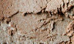 Terragrün (Colortricx, iris.) 20 g