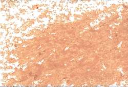 JAXON® Ölpastellkreiden, einzeln, Ölpastellkreide, Neapelgelb rötlich