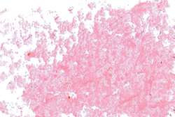 JAXON® Ölpastellkreiden, einzeln, Ölpastellkreide, Krapprosa