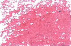 JAXON® Ölpastellkreiden, einzeln, Ölpastellkreide, Carmesin