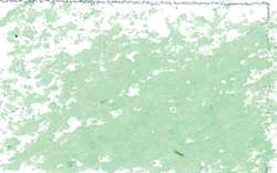 JAXON® Ölpastellkreiden, einzeln, Ölpastellkreide, Blassgrün