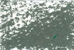 JAXON® Ölpastellkreiden, einzeln, Ölpastellkreide, Graugrün