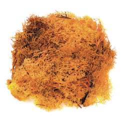 GLOREX Islandmoos, 50 g, Orange