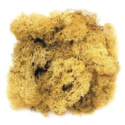 GLOREX Islandmoos, 50 g, Gelb