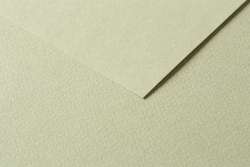 Clairefontaine TULIPE farbiges Bastelpapier, Bogenware, Bogenware, 50 cm x 65 cm, Lindgrün