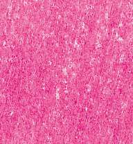 LYRA REMBRANDT® POLYCOLOR Künstler-Farbstift, einzeln, in Einzelfarben, Purpurrosa