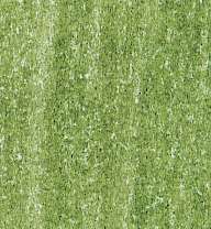 LYRA REMBRANDT® POLYCOLOR Künstler-Farbstift, einzeln, in Einzelfarben, Saftgrün